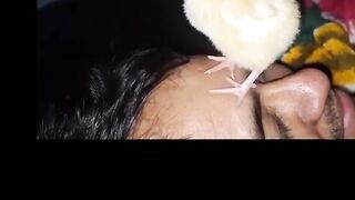 Look at the small birds, the water of the man Very funny birds of birds