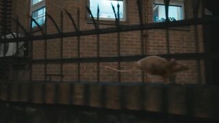 비비 (BIBI) - 밤양갱(Bam Yang Gang) Official M_V(720P_HD).mp4