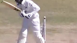 ???? Clean Bowled...Stumps Out The Ground!2025