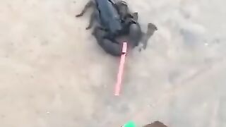 Funny