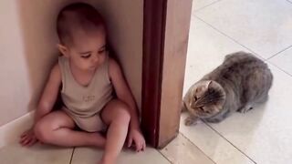 Cat and child play hide and seek