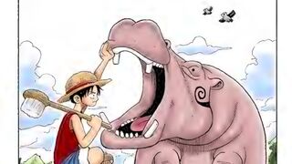 ONE PIECE VOL 3 #19 DEVIL FRUIT.