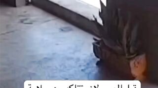 فيديوهات مضحك ????