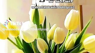 Doaa cha3ban