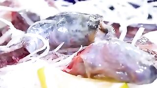 Eating Asia Scariest live alien fish