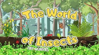 Insects Tiny World.mp4