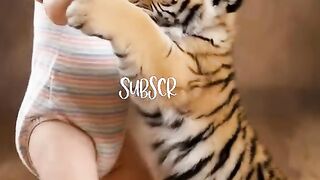 Baby dance
