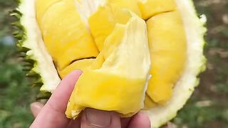 durian