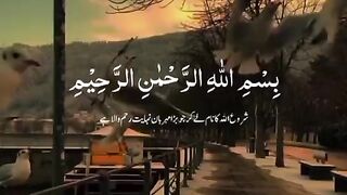 Alquran aesthetics