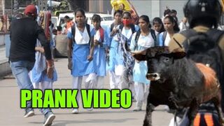 Cow Cow Cry Prank In Public __ funny video Funny Dialogues Video In Public __ Crazy Kartikey