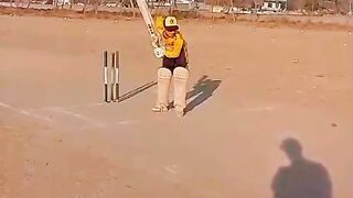 Cricket fever