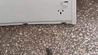 La forma más sencilla de instalar una caja de cambios