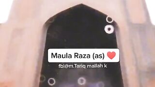 Mola Imam Raza (A.S)