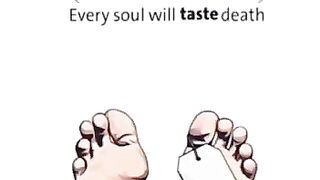 Best sound