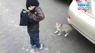 Cute Cat- talking Cat- Amazing Cat