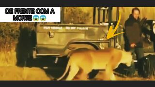 De frente com a morte humor comédia????