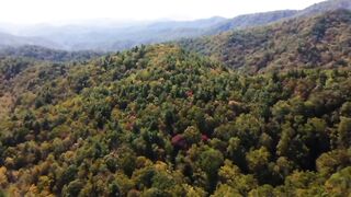 Meditation video with nature ll Meditation music ll