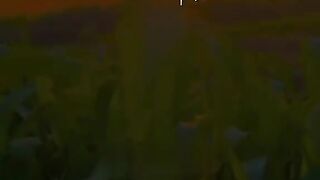 Best video