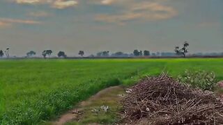 My village very amazing ????
