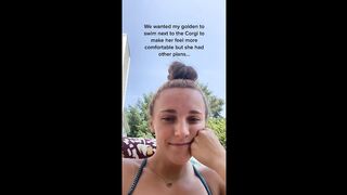 The Most Relaxed Golden Retrriever Tiktok Compilation.
