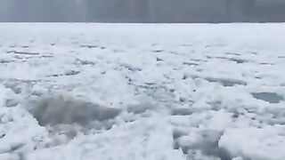 Sea sceen