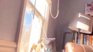 Best funny viral clips|2023 funny shorts