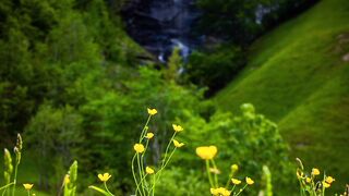 Sorah Fateha: A Beautiful Recitation of the Opening Chapter of the Quran