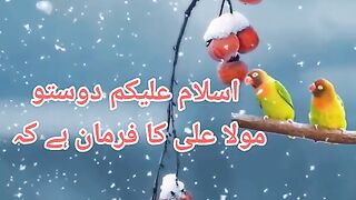 Mola Ali ka Farman ha