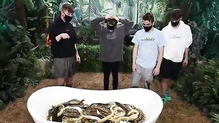 Kia ap snake ke beech baithenge