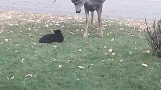 I think both are good friends