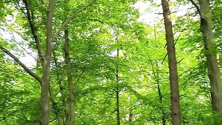 NATURE BEAUTY