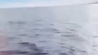 Subah Allah