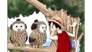 ONEPIECE VOL 9 #76 SLEEP.