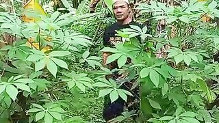 Vedios hiburan warga 62+