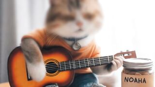 "Kucing AI Beraksi: Membawakan Semua Tentang Kita dengan Gitar Akustik"