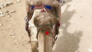 Misar ki sair