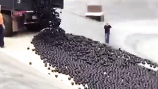 The Shocking Truth Behind L.A.’s 96 Million Black Balls!