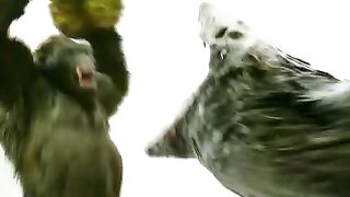 King Kong