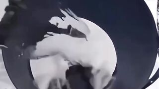 The speed of freezing water in the pole
