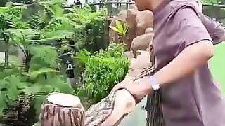 Jerapah Saurus ????