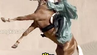 The Horse That SHINES Like METAL!?
