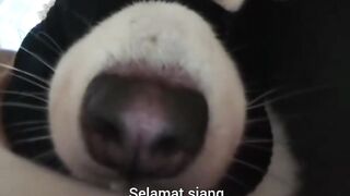 INFO RUMAH KOSONG GUYS