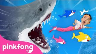 ???? Run Away from the Sharks! _ Animal Song _ Hoi's Playground _ Pinkfong Baby Shark Kids Song