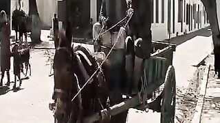 Classic Action War Movie Great