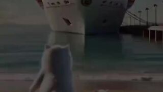 The story of mother and daughter separated and reunited