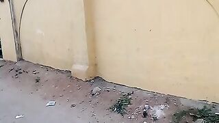 Environment