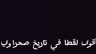أقوى لقطاة في تاريخ صحراوي #freefire #فري_فاير #garenafreefire
