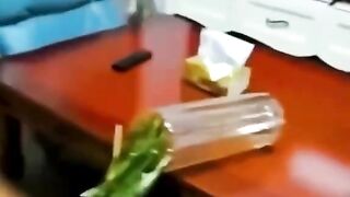 Cotomafias