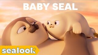 CUTENESS EXPLOSION | Baby Seal Special | SEALOOK | Episodes Compilation