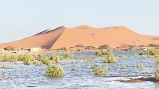 Merzooga sahra